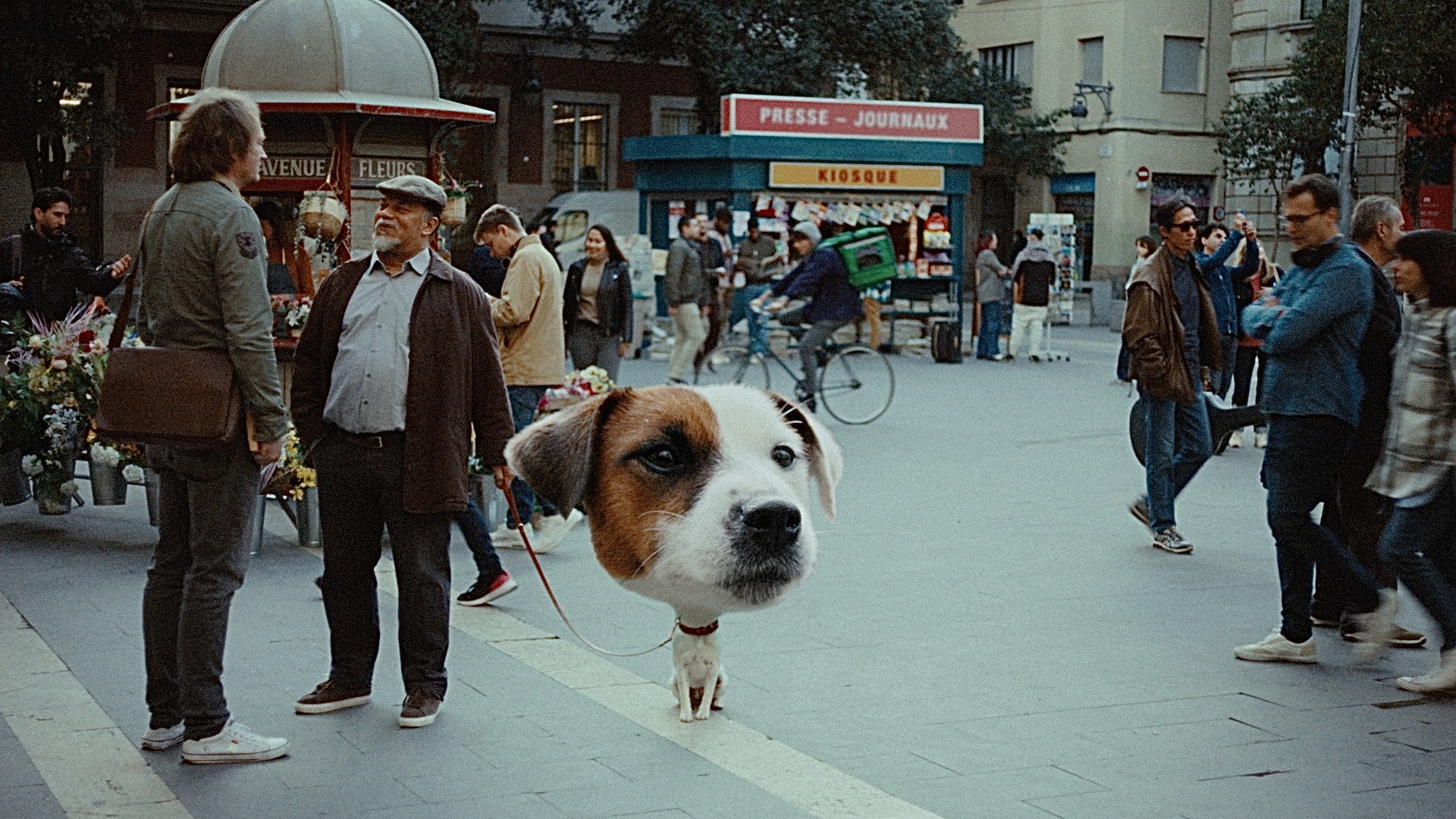 Apple X Orange, Dream Big