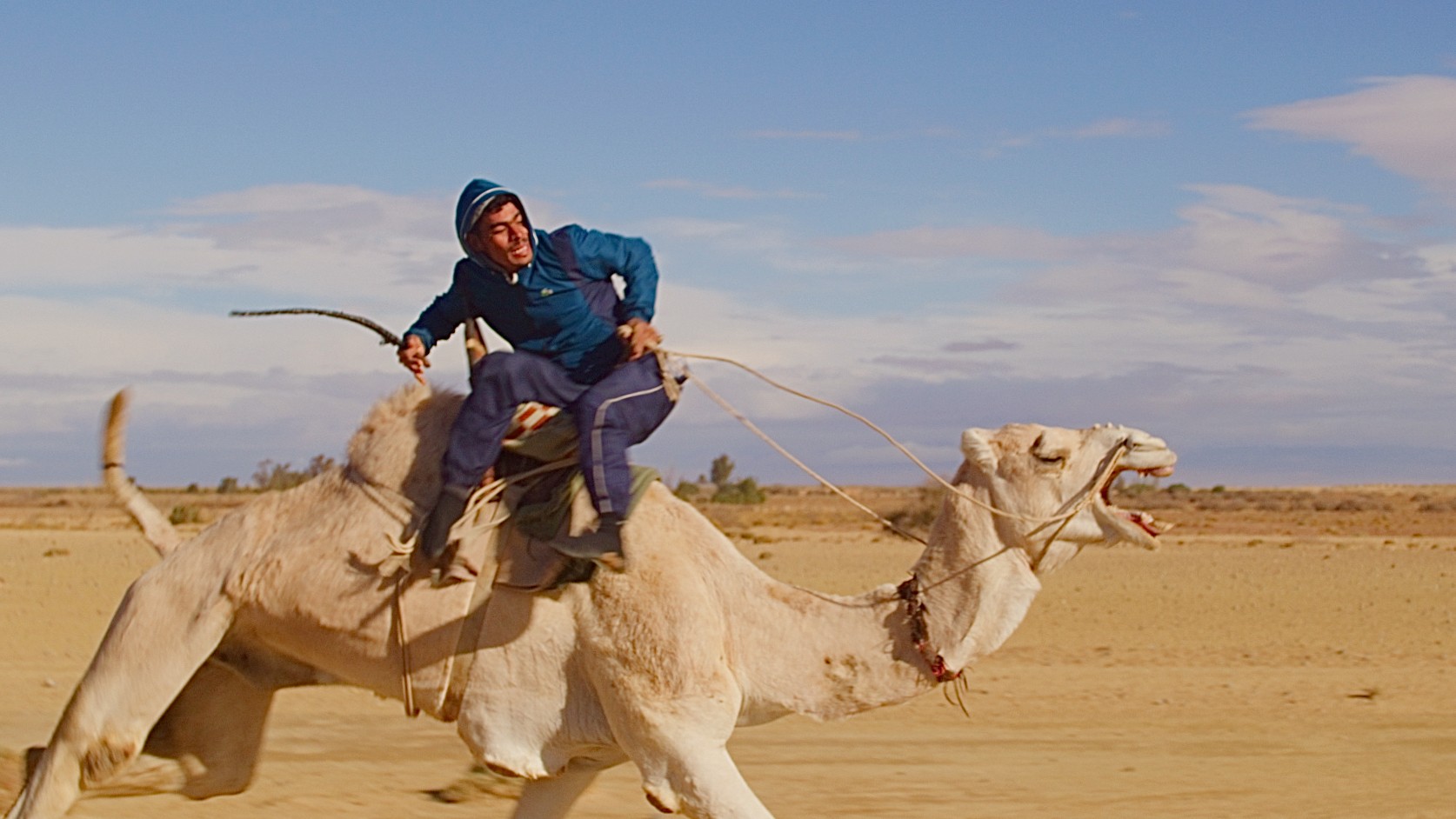 Dj Snake, Disco Maghreb